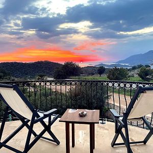 Lacitrus Villa&Hotel-Ozy Houses
